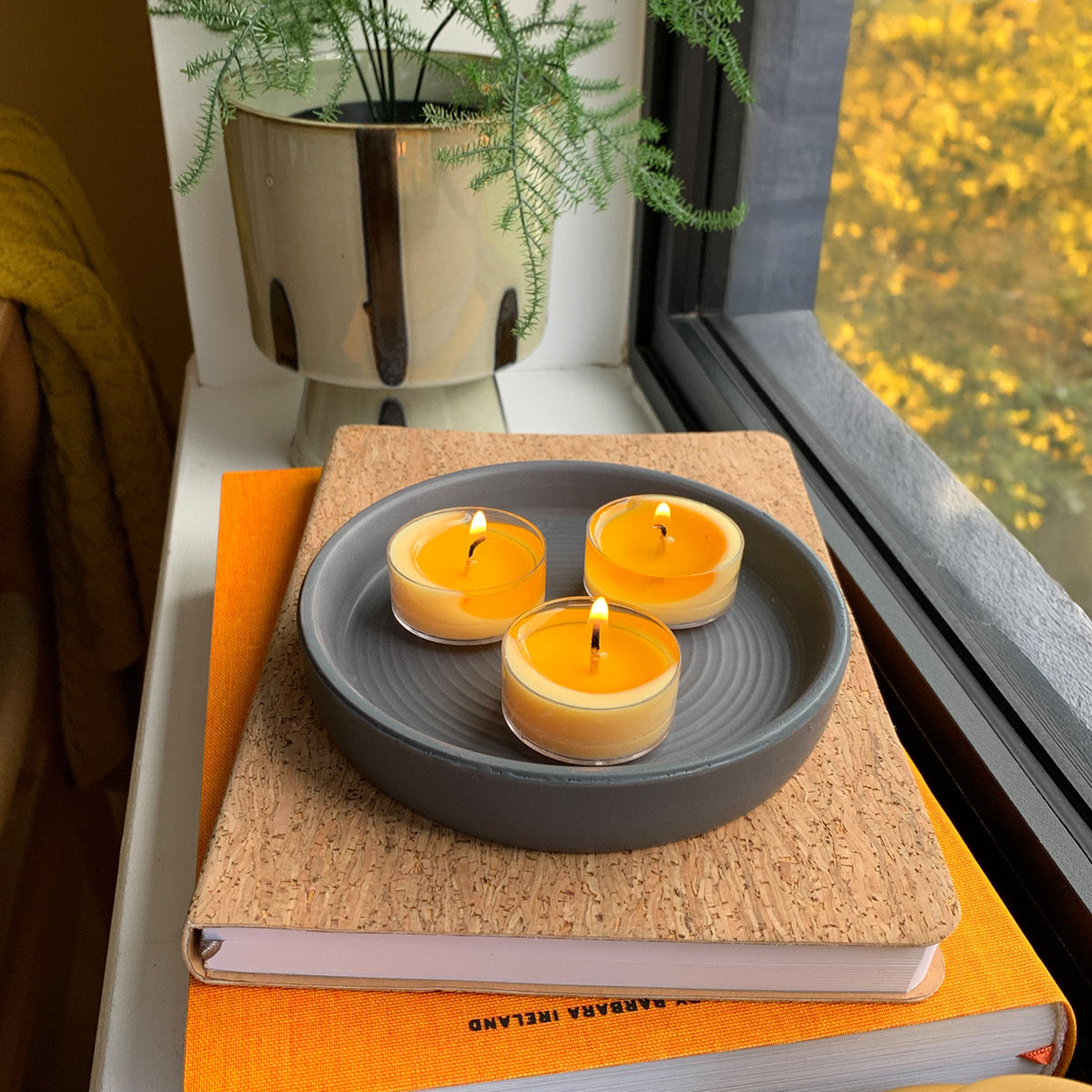Salted Honey Bourbon Tealights on a grey tray on books with a plant next to them on a window sill
